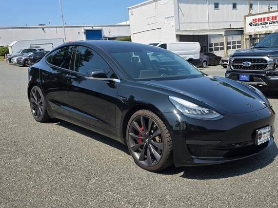 TESLA MODEL 3 2020 5YJ3E1EC0LF602846 image